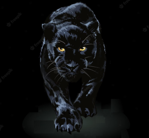 panther