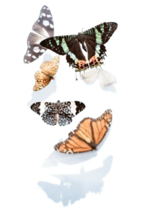 let-them-adjust-to-the-new-you