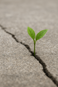 from-flow-to-friction